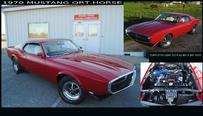 1970 qrt.horse