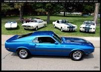 69 shelby boss 302 gt 350