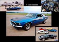 69 BOSS 302