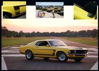 BOSS 302 1969