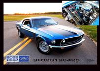 69 BOSS 302