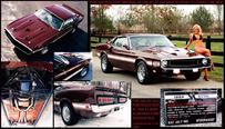 restored shelby gt 500