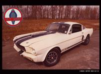 1966 shelby mustang gt 350