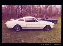 66 gt 350