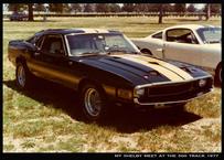 1969 shelby gt500
