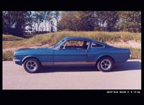 shelby gt 350